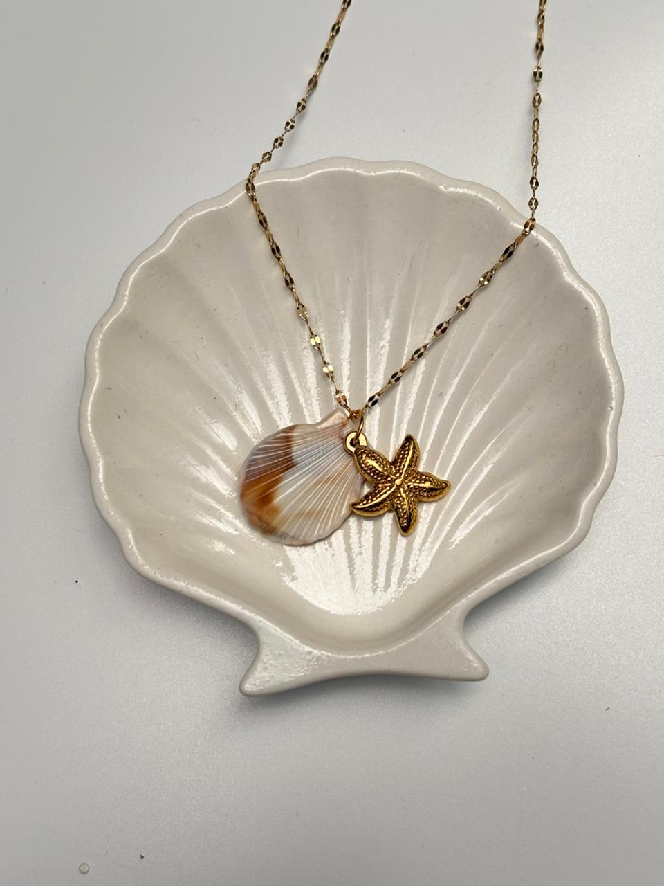Star fish shell necklace
